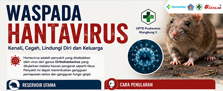 Waspada Hantavirus